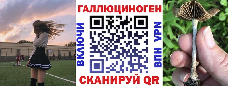 хочу наркоту  Буй  МЕГА ссылка  Галлюциногенные грибы Cubensis 